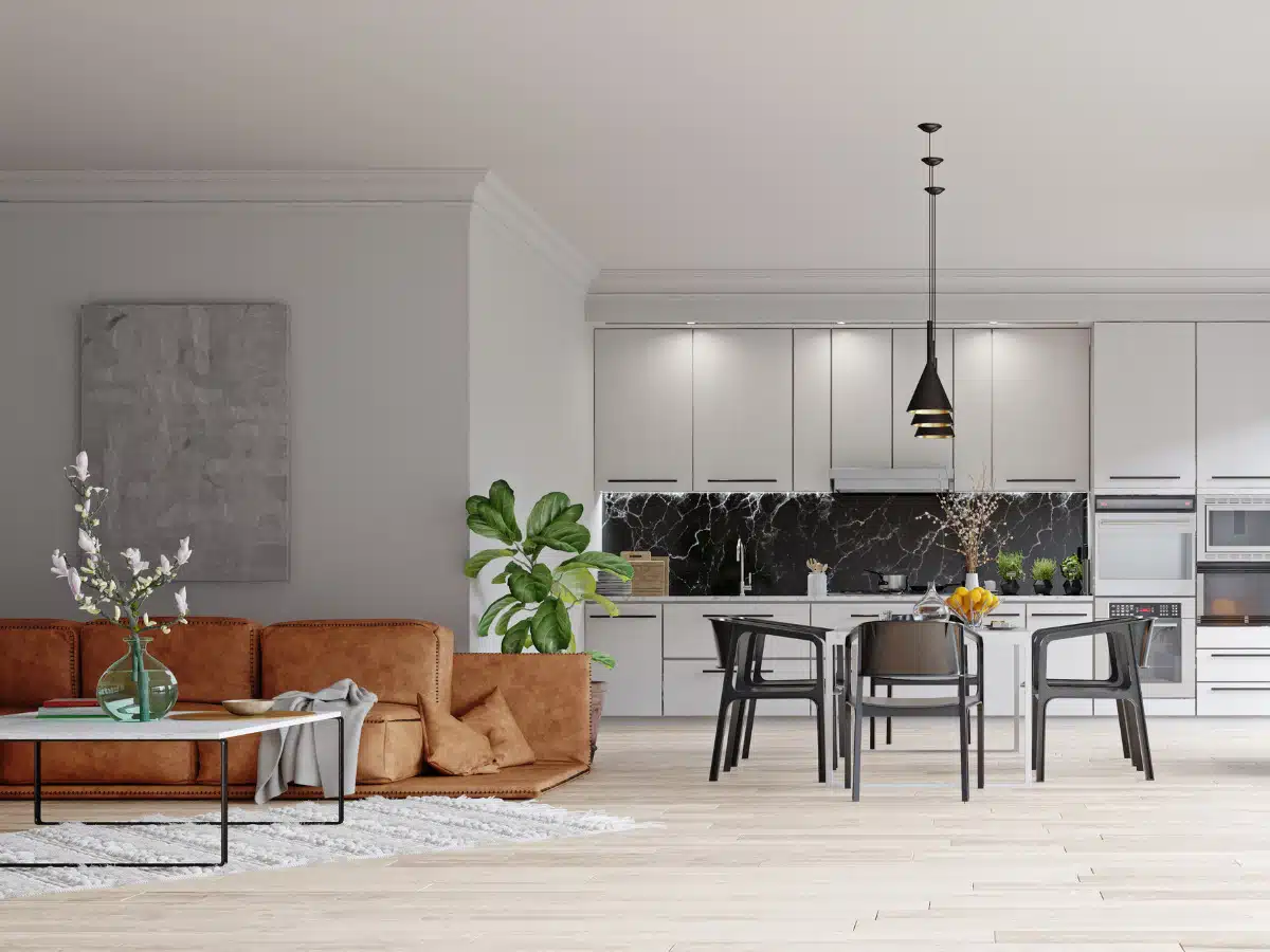 geelong rental property agency